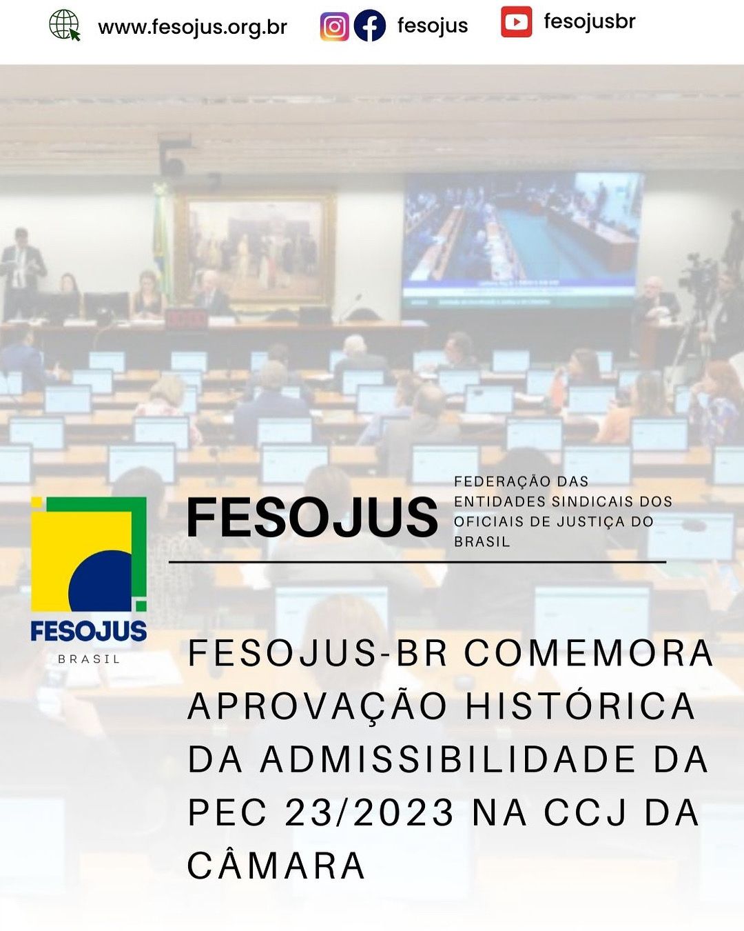 Leia mais sobre o artigo FESOJUS-BR comemora aprovação histórica da admissibilidade da PEC 23/2023 na CCJ da Câmara